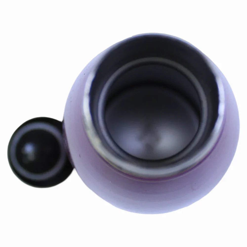 My Little Pony Stainless Steel Thermos – 500 ml