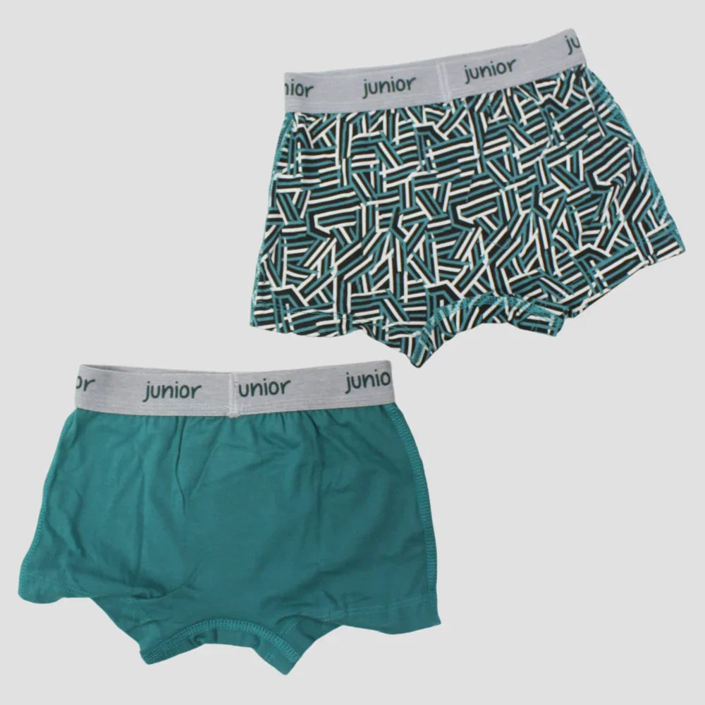 Pack of 2 - Multicolored Boys Cotton Boxer Shorts