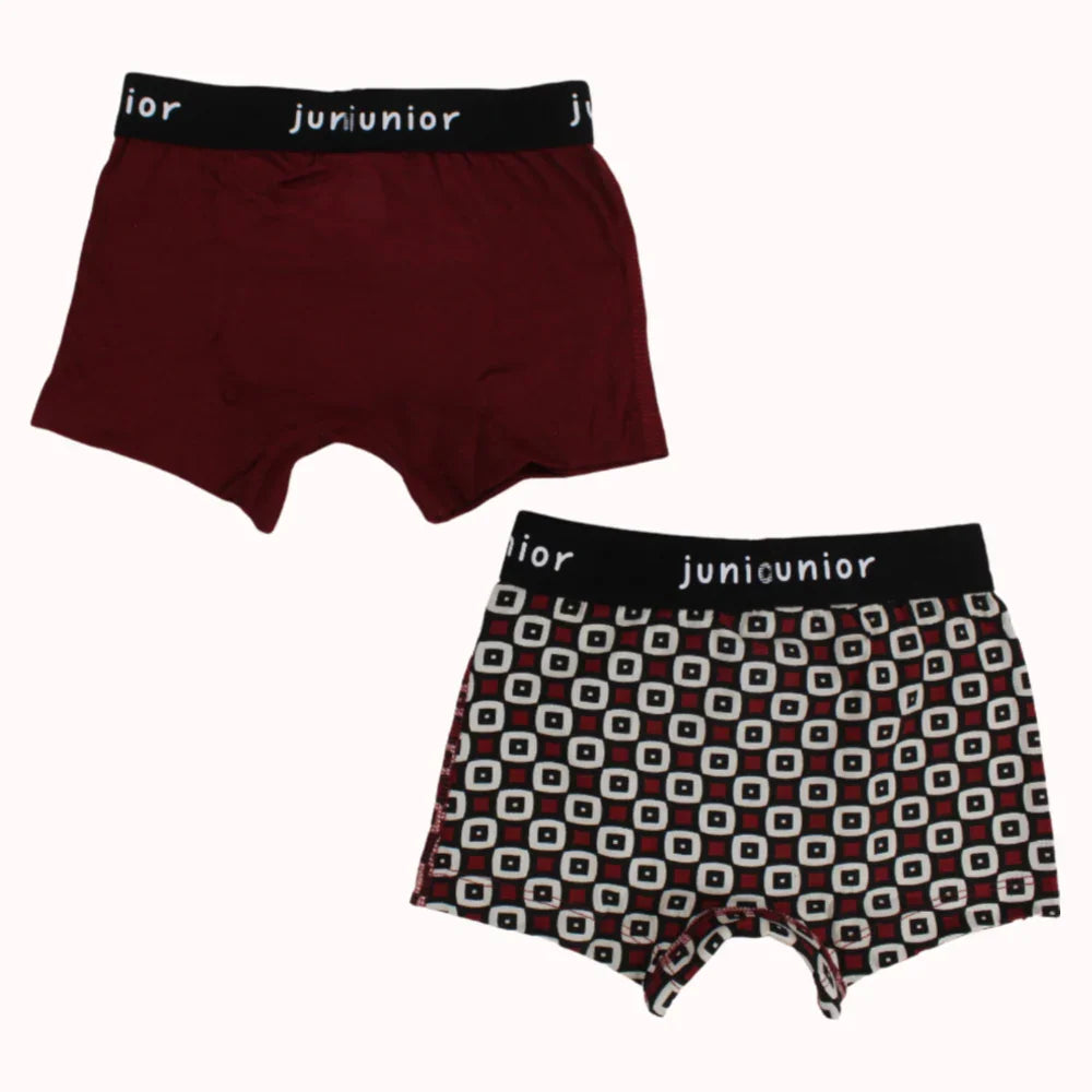Pack of 2 - Multicolored Boys Cotton Boxer Shorts