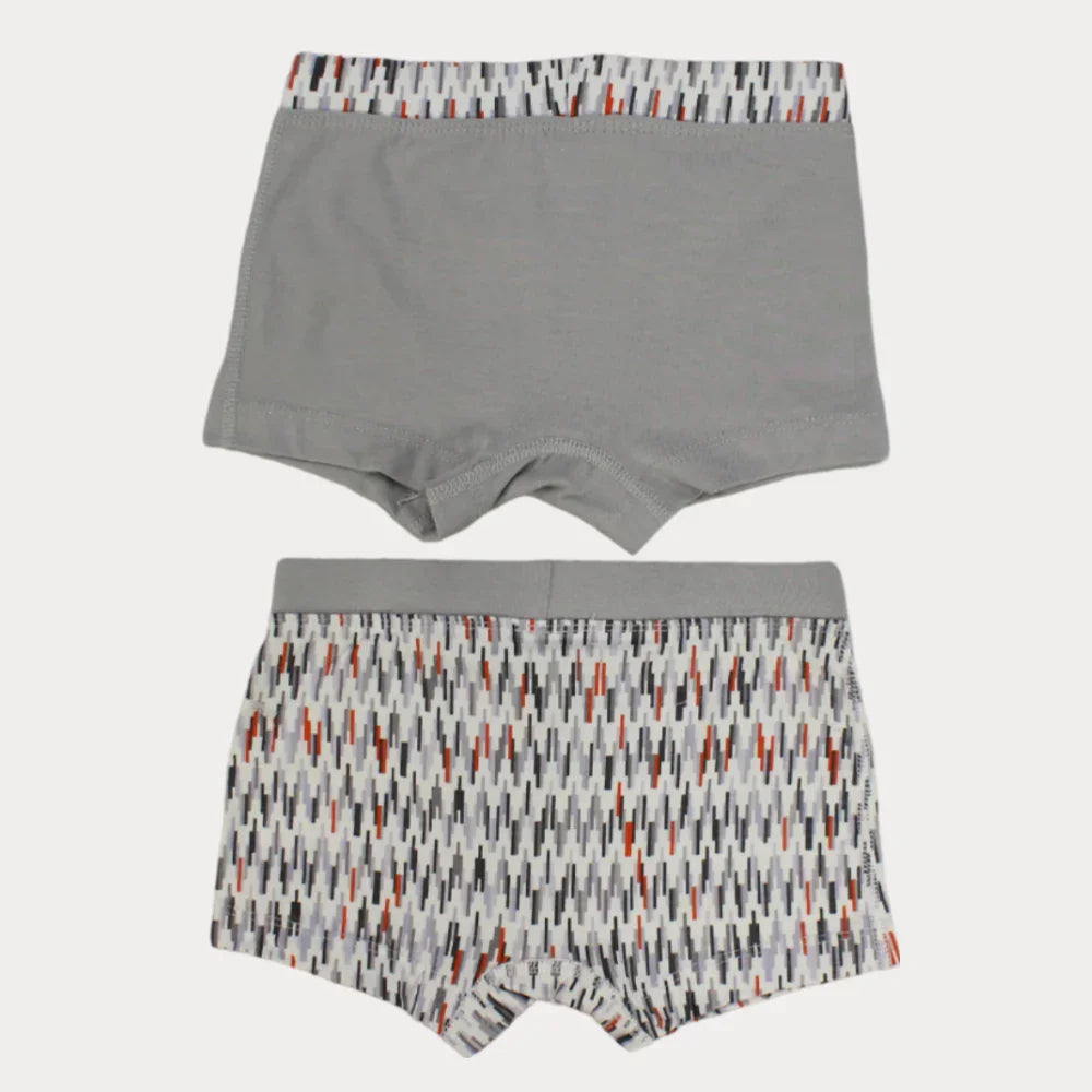 Pack Of 2 - Printed Boxer Shorts
