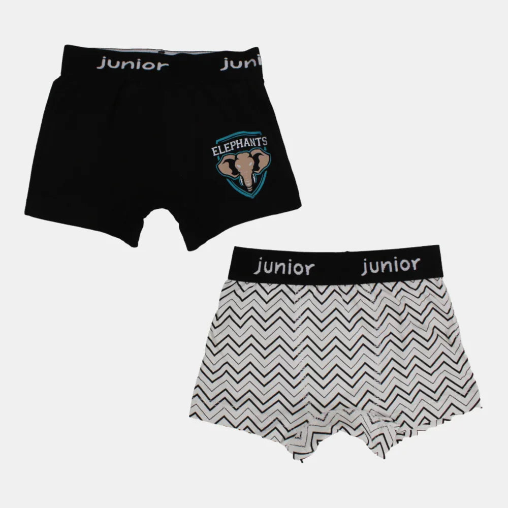 Pack of 2 – Boys Cotton Boxer Shorts