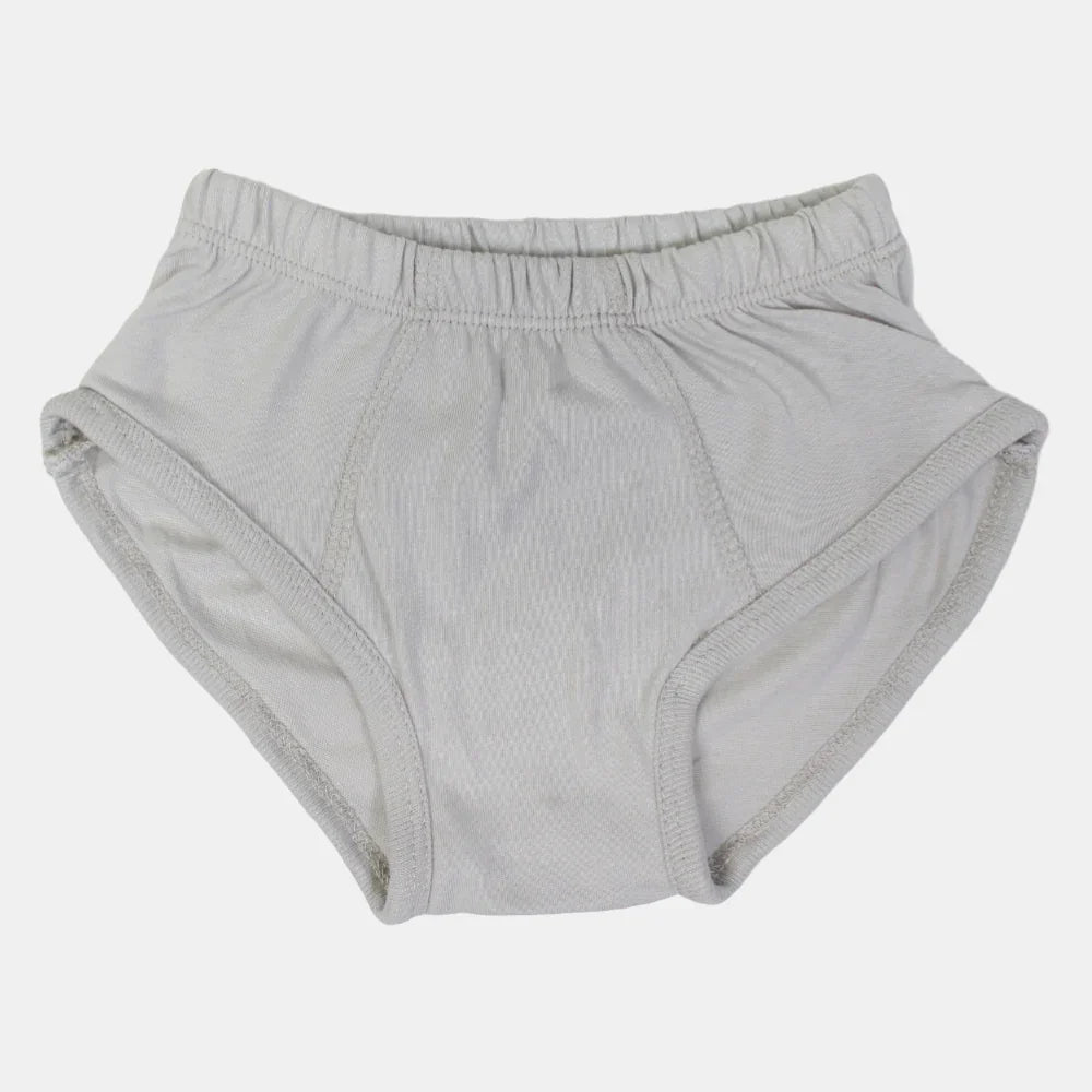 Boys Cotton Briefs