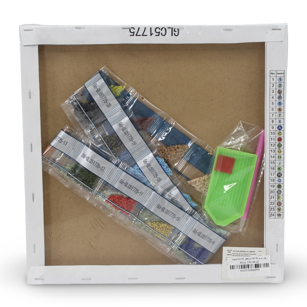 طقم فن الرسم الماسي – لوحة باو باترول 30×30 سم