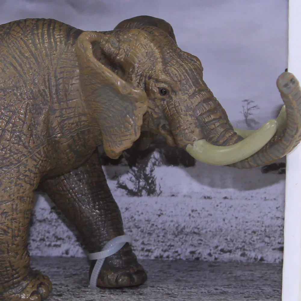 Wild Animals Model – African Elephant Figurine