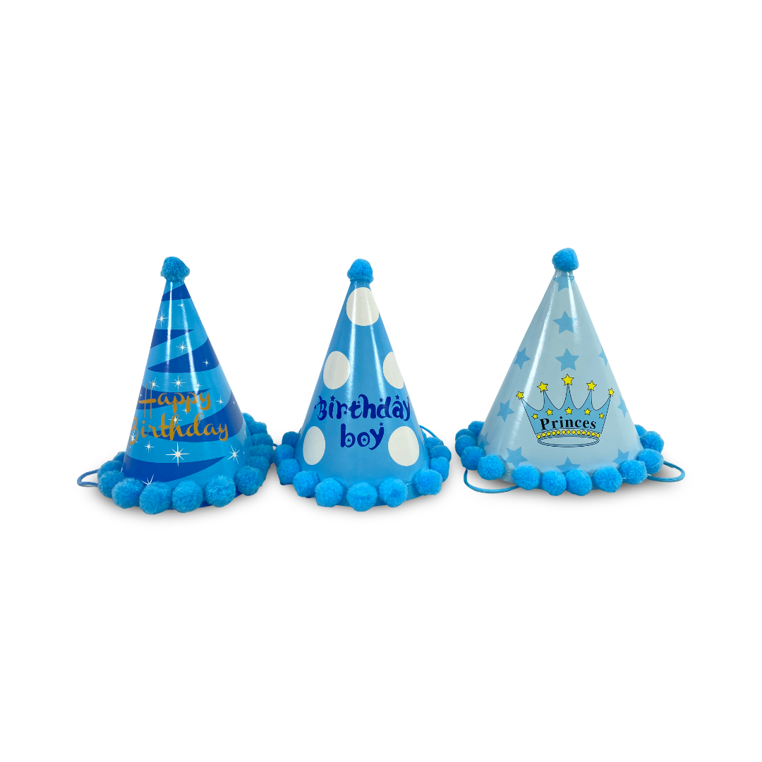 Birthday Party Hats – Baby Blue