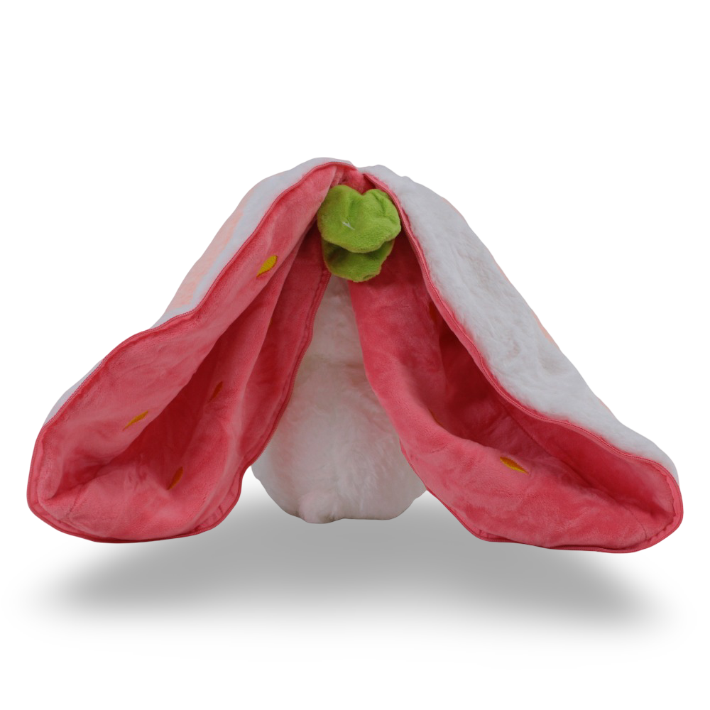 Bunny in a Strawberry Plush Toy