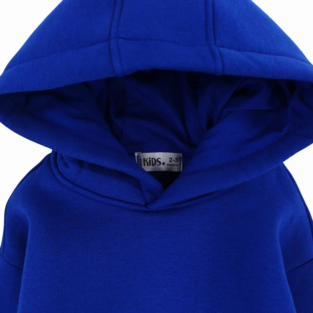 Unisex Plain Cotton Hoodie – Blue