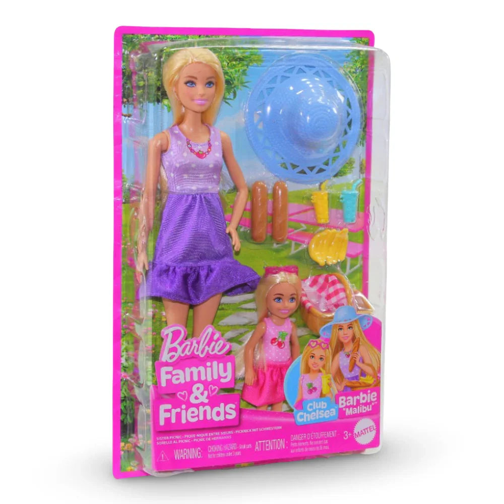 Mattel Barbie Family & Friends Dolls – Accessories, Picnic with 2 Dolls
