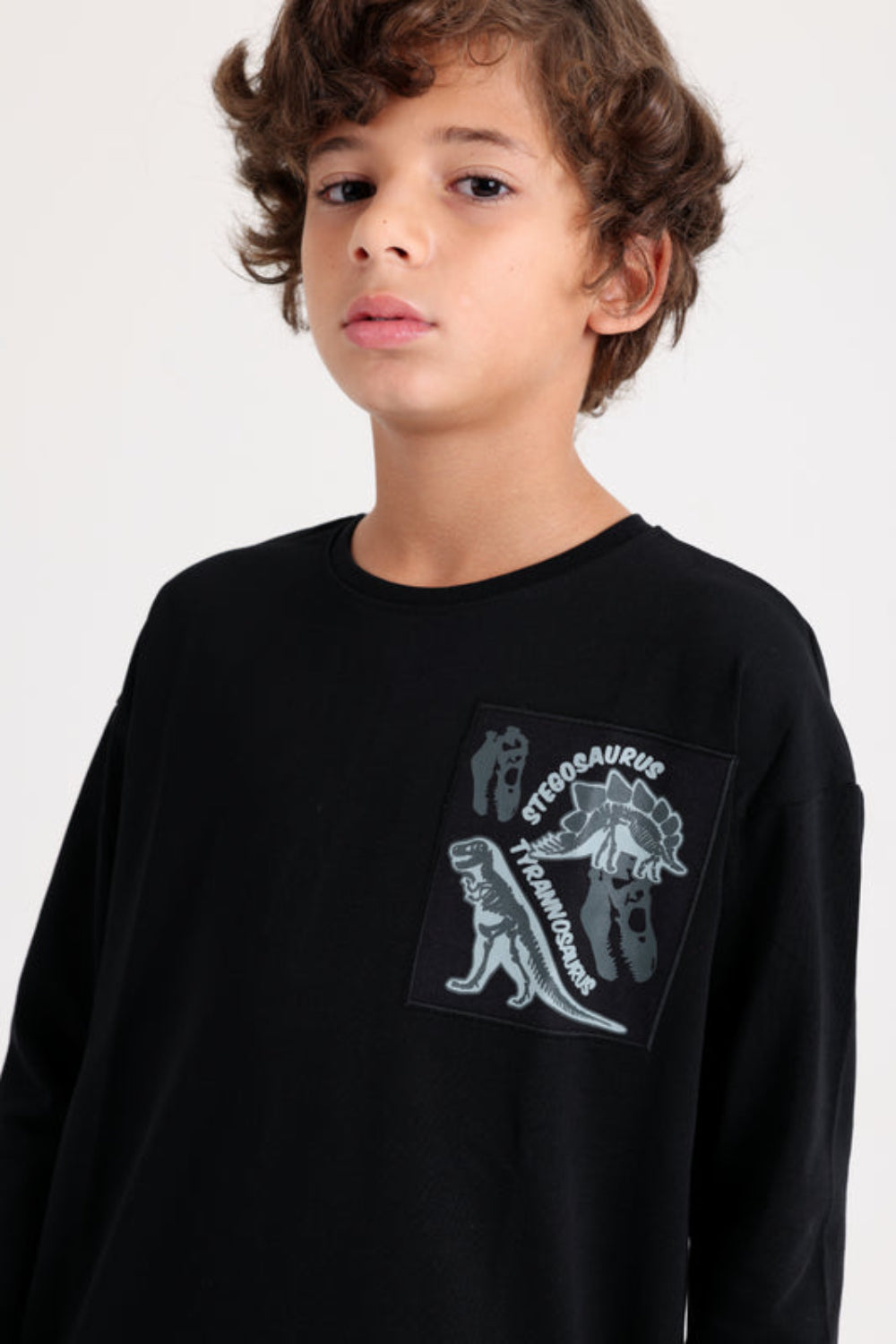 Boys Cotton T-Shirt – Black with Stegosaurus Print