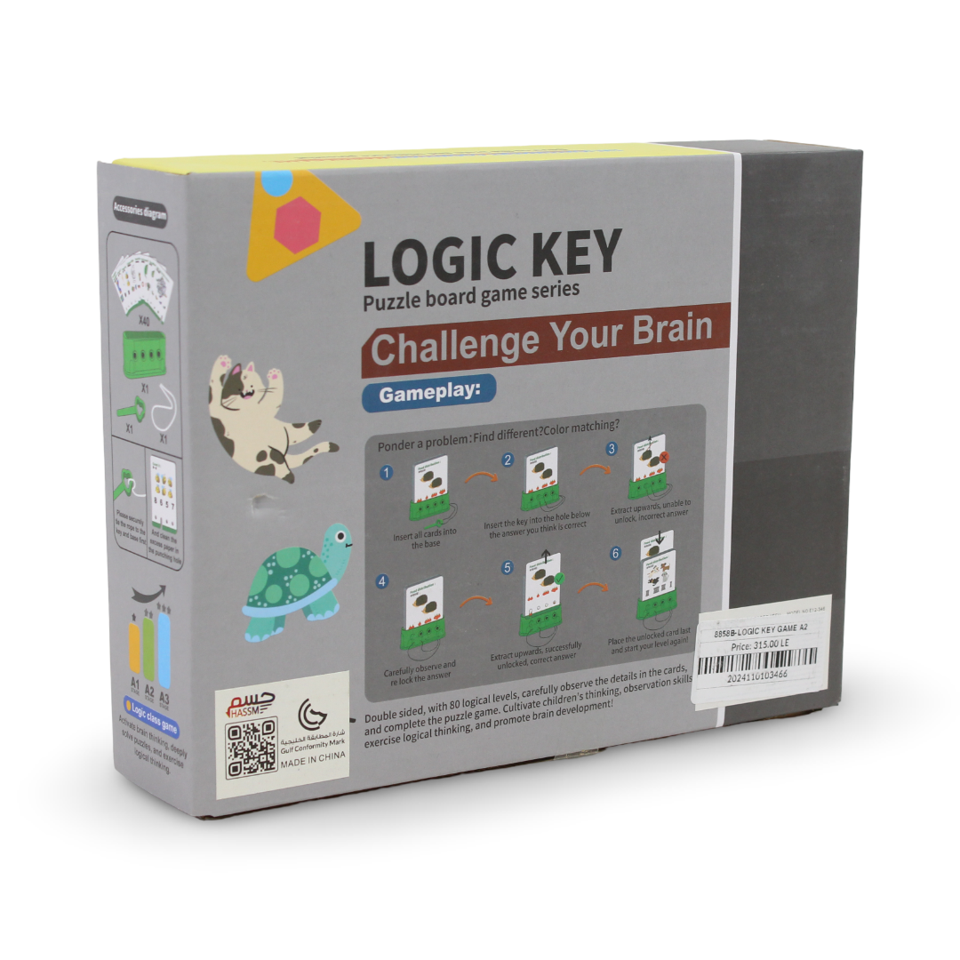 Logic Key Puzzle Game A2 – 40 Pcs