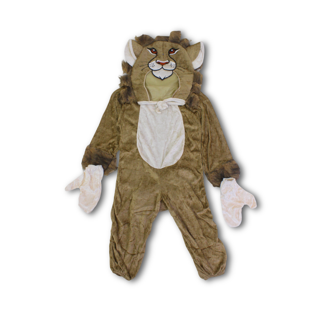 Lion Costume Set