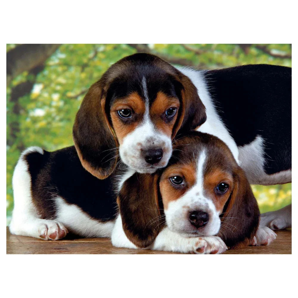 Clementoni Dog Puzzle – 500Pcs