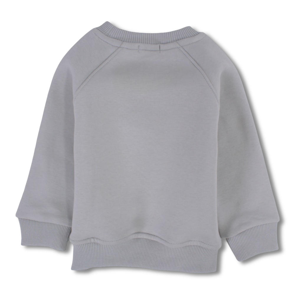 Boys Cotton Sweatshirt - Dog in Car Design