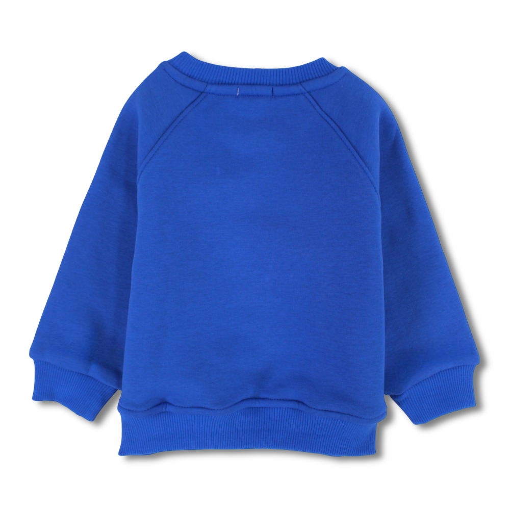 Boys Cotton Sweatshirt - Dog in Car Design