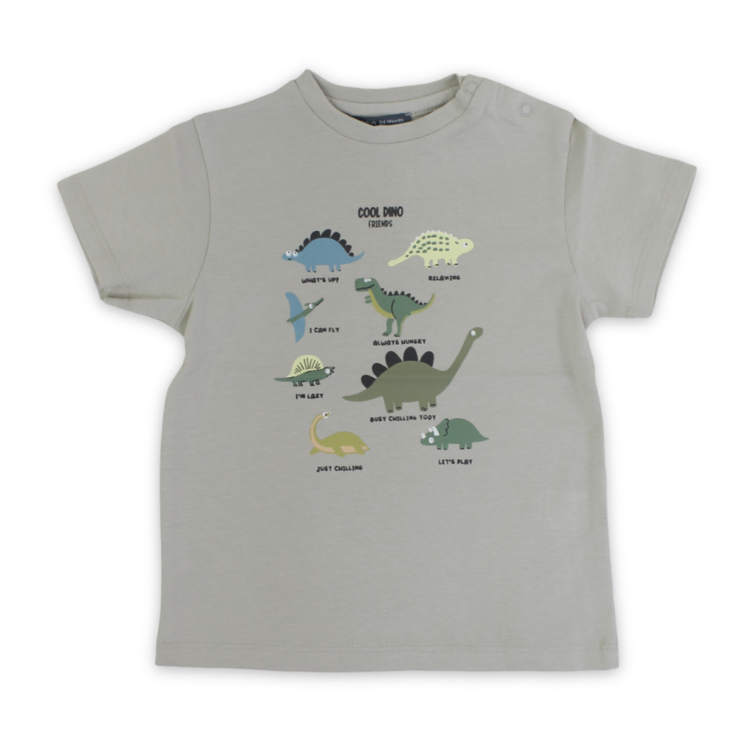 Baby Boys Cotton T-Shirt – Pistachio with Dinosaurs Print - Clothing - Pompelo