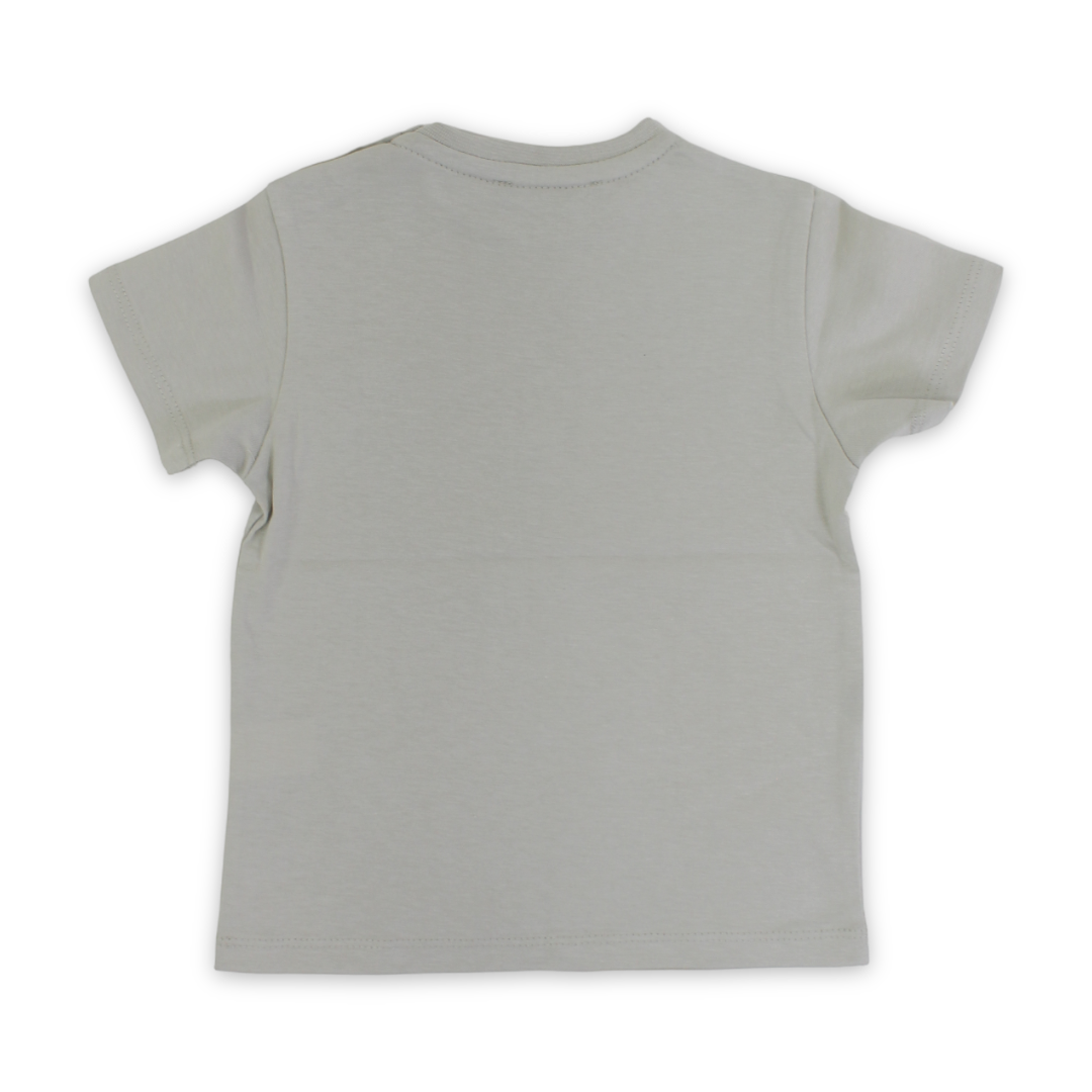 Baby Boys Cotton T-Shirt – Pistachio with Dinosaurs Print