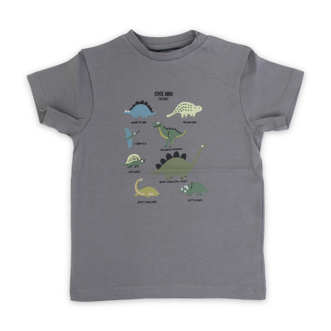 Baby Boys Cotton T-Shirt – Grey with Dinosaurs Print - Clothing - Pompelo
