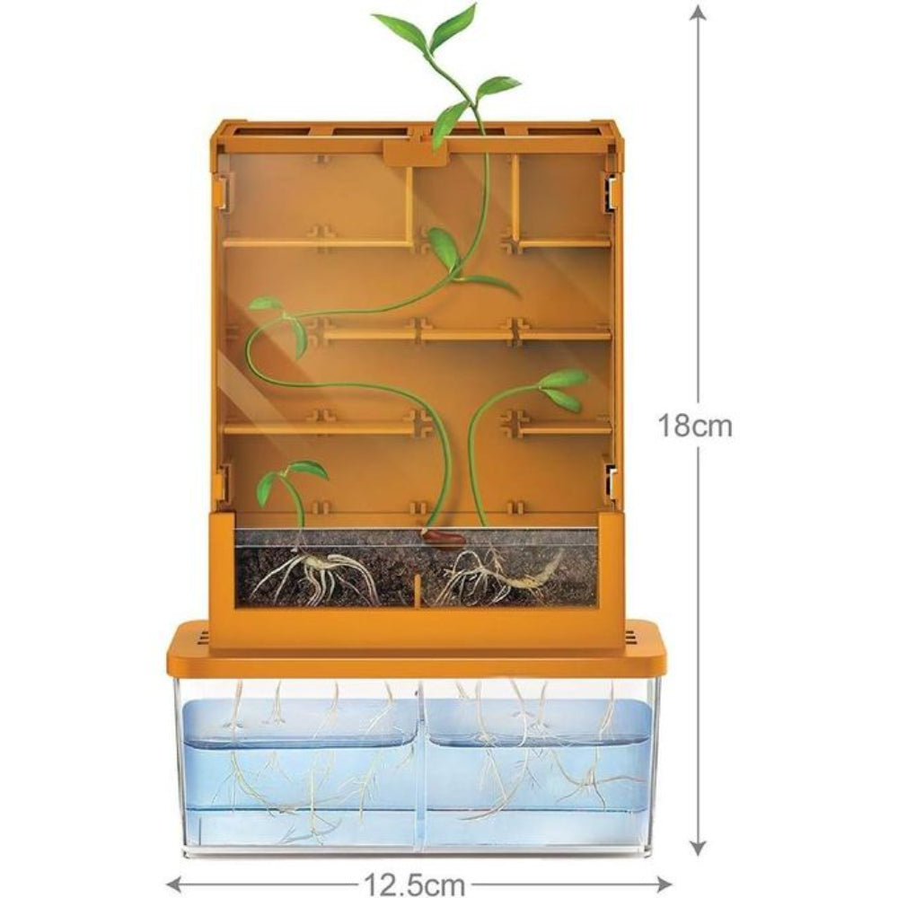4M Green Science Grow-A-Maze