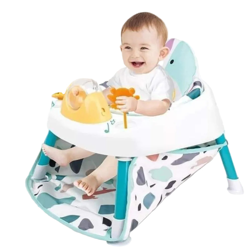 2-in-1 Baby Fitness Chair