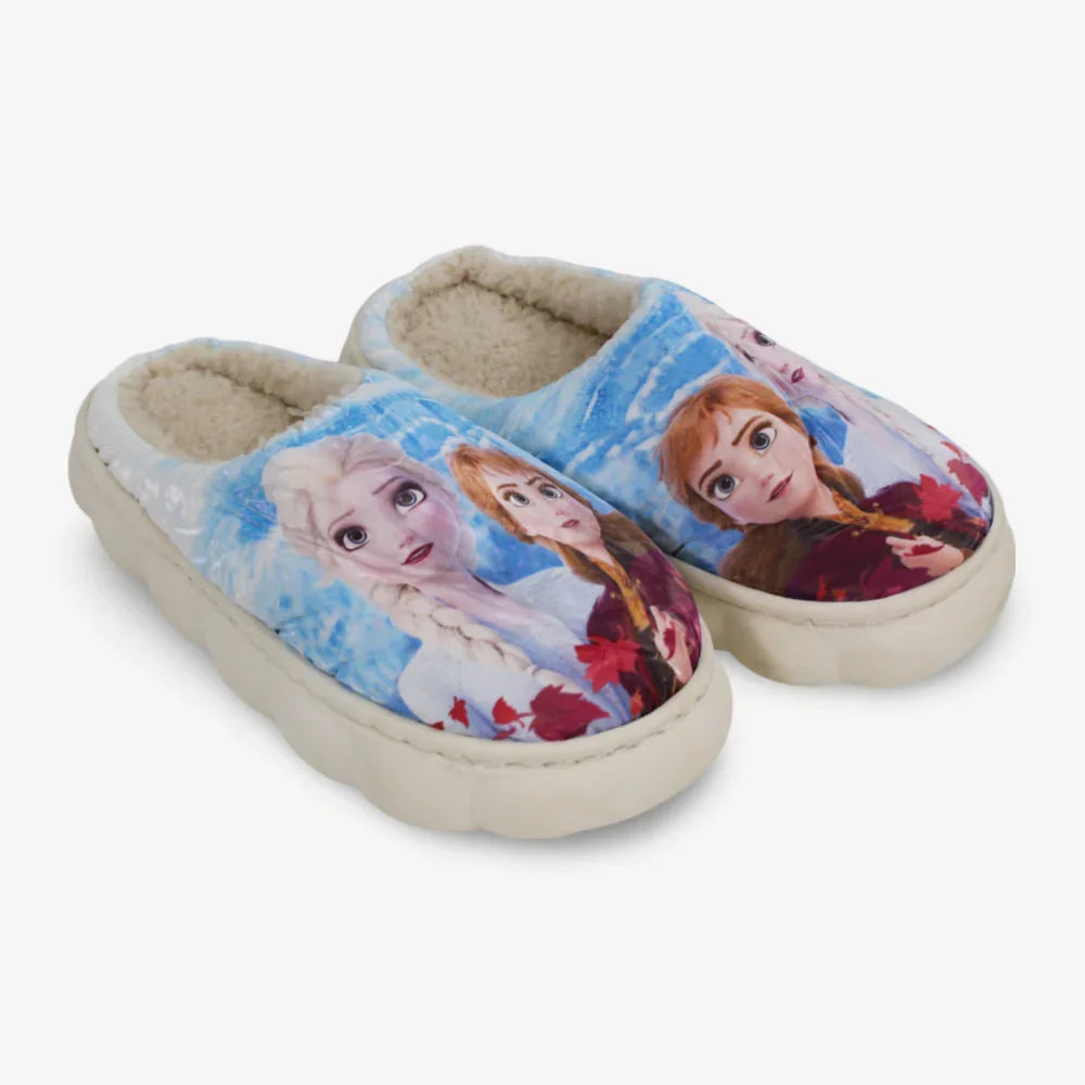 Frozen Soft Slippers - Clothing - Fancy