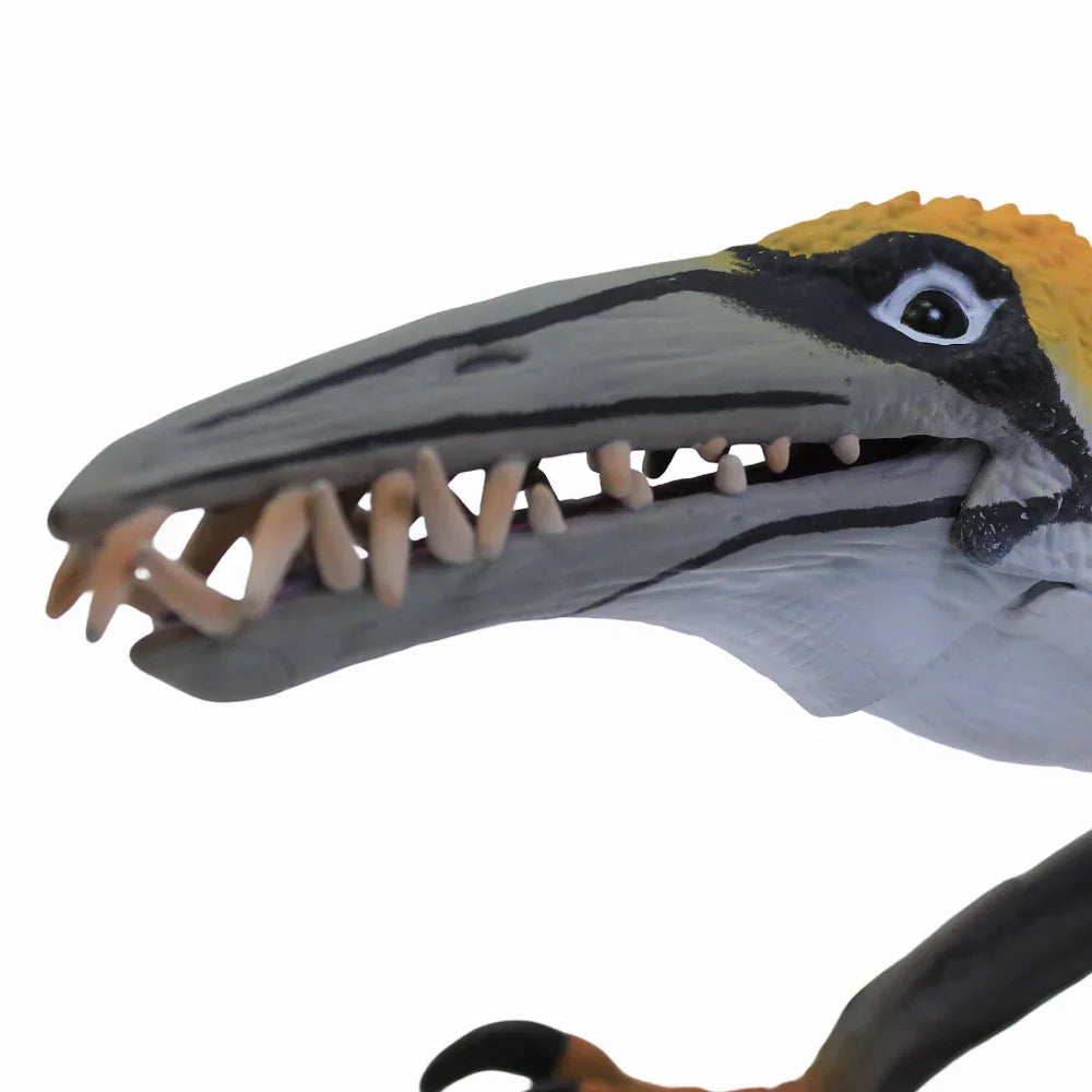 CollectA Dearc Sgiathanach with Moveable Jaw Figurine