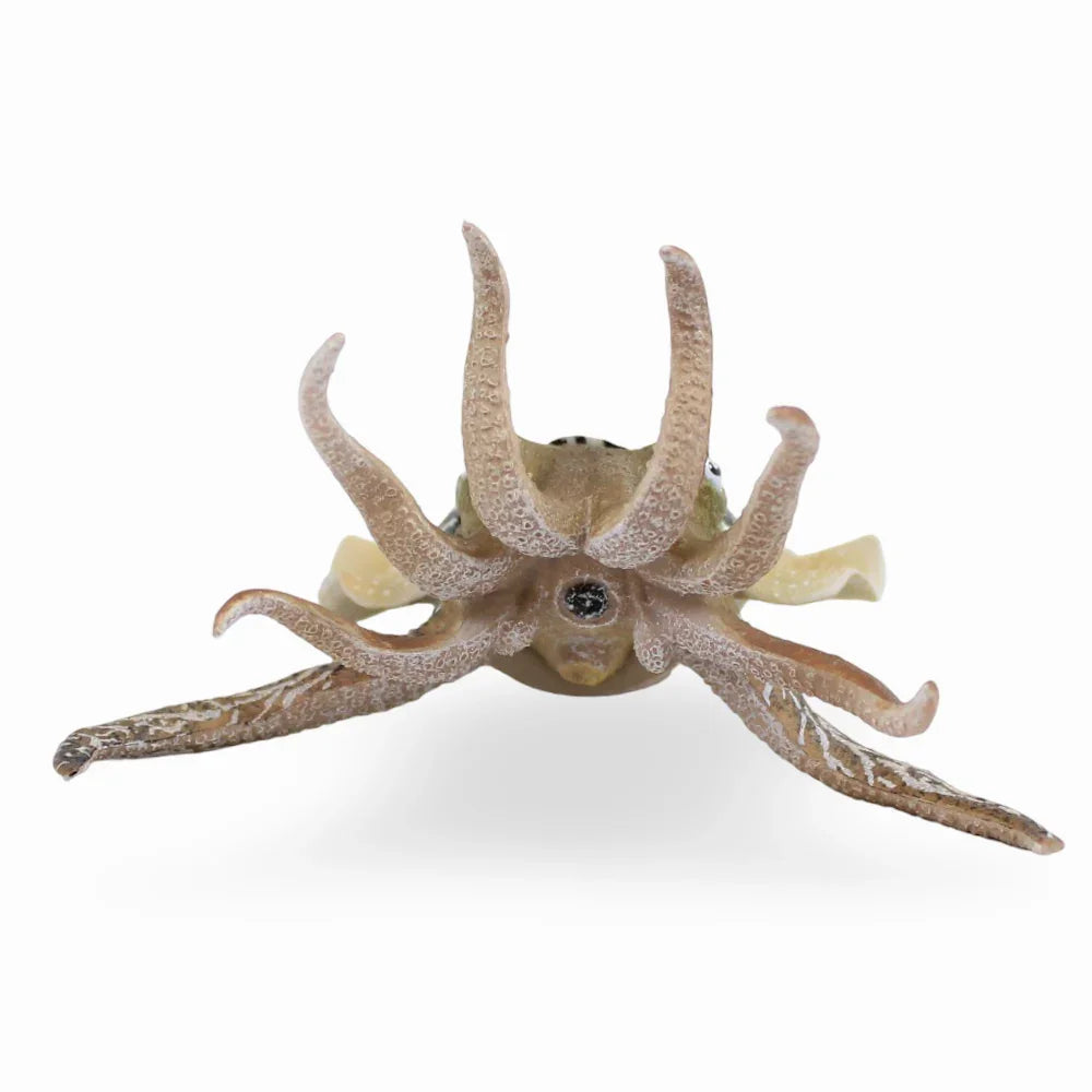 CollectA Common Cuttlefish Figurine