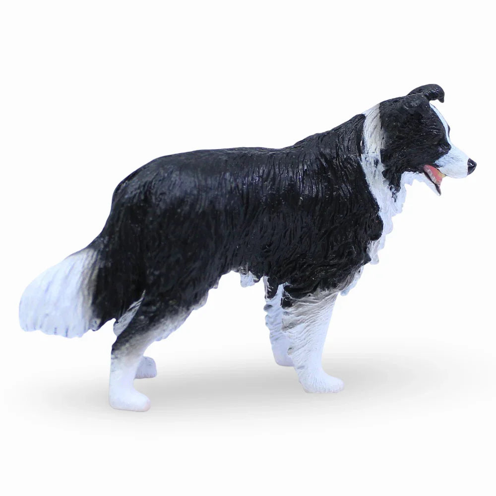 CollectA Border Collie Figurine