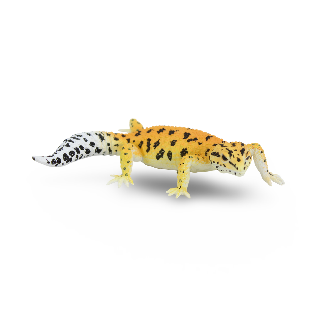 CollectA Leopard Gecko Figurine - Toys