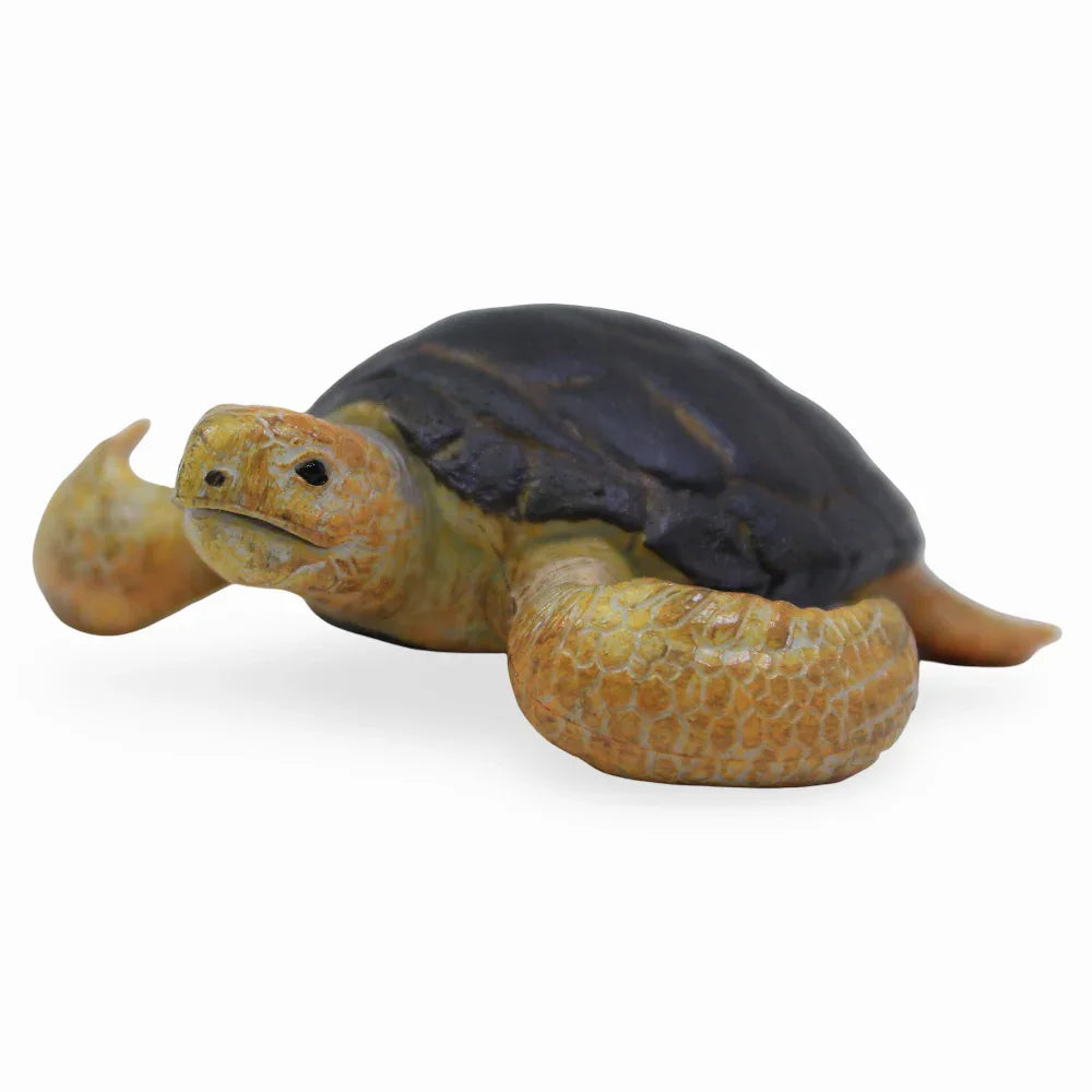 CollectA Loggerhead Turtle Figurine