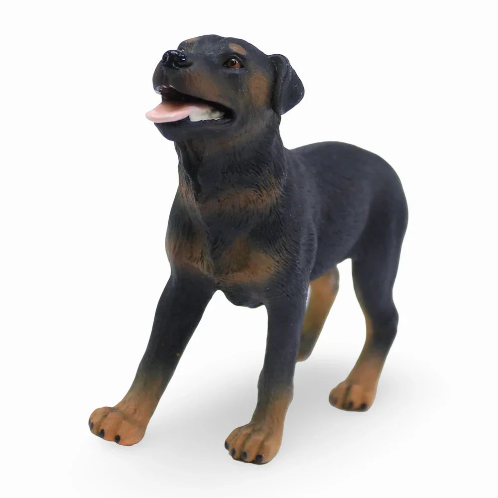 CollectA Rottweiler Figurine - Toys