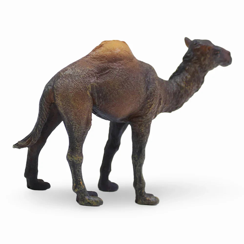 تمثال جمل كوليكتا ذو السنام الواحد