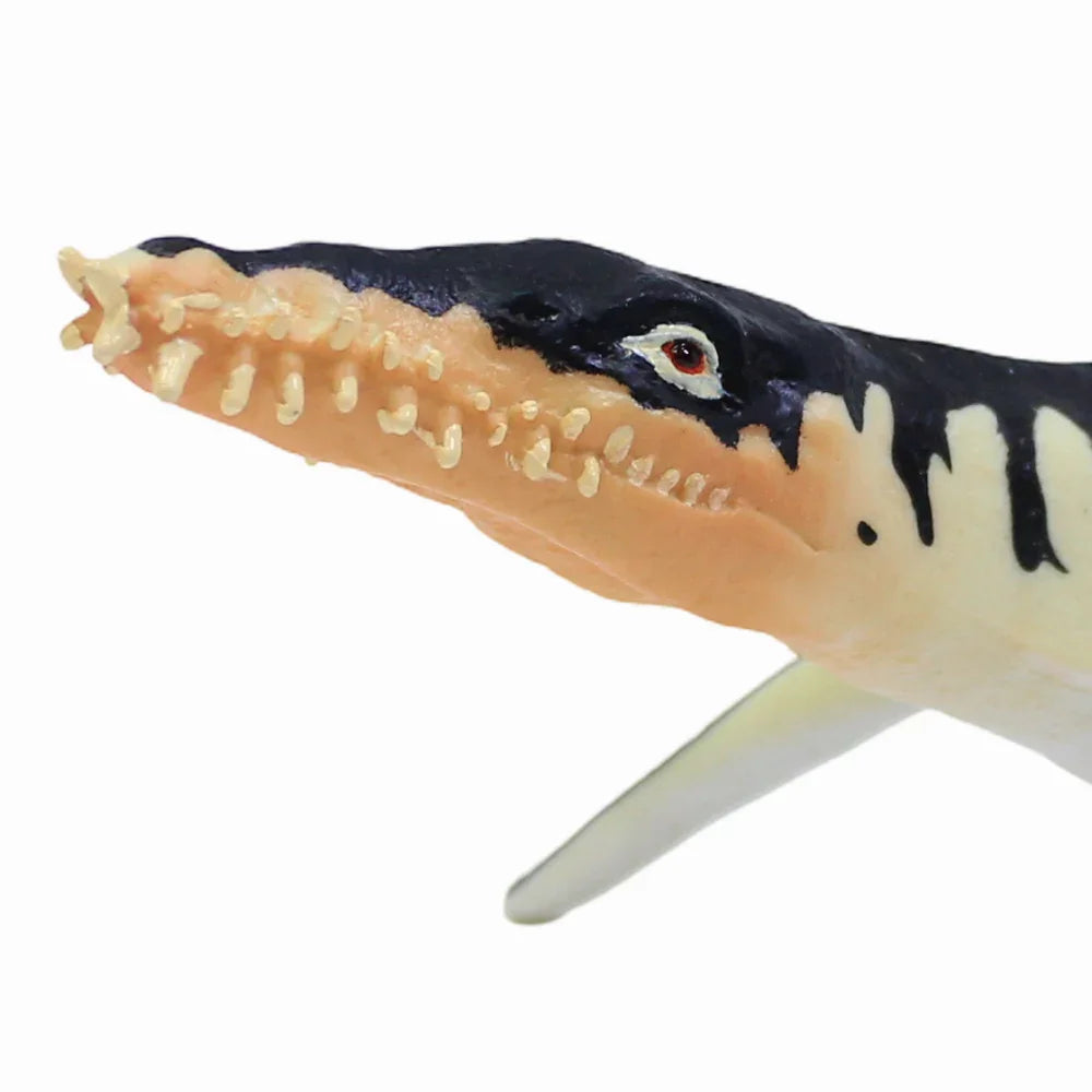 CollectA Liopleurodon Figurine