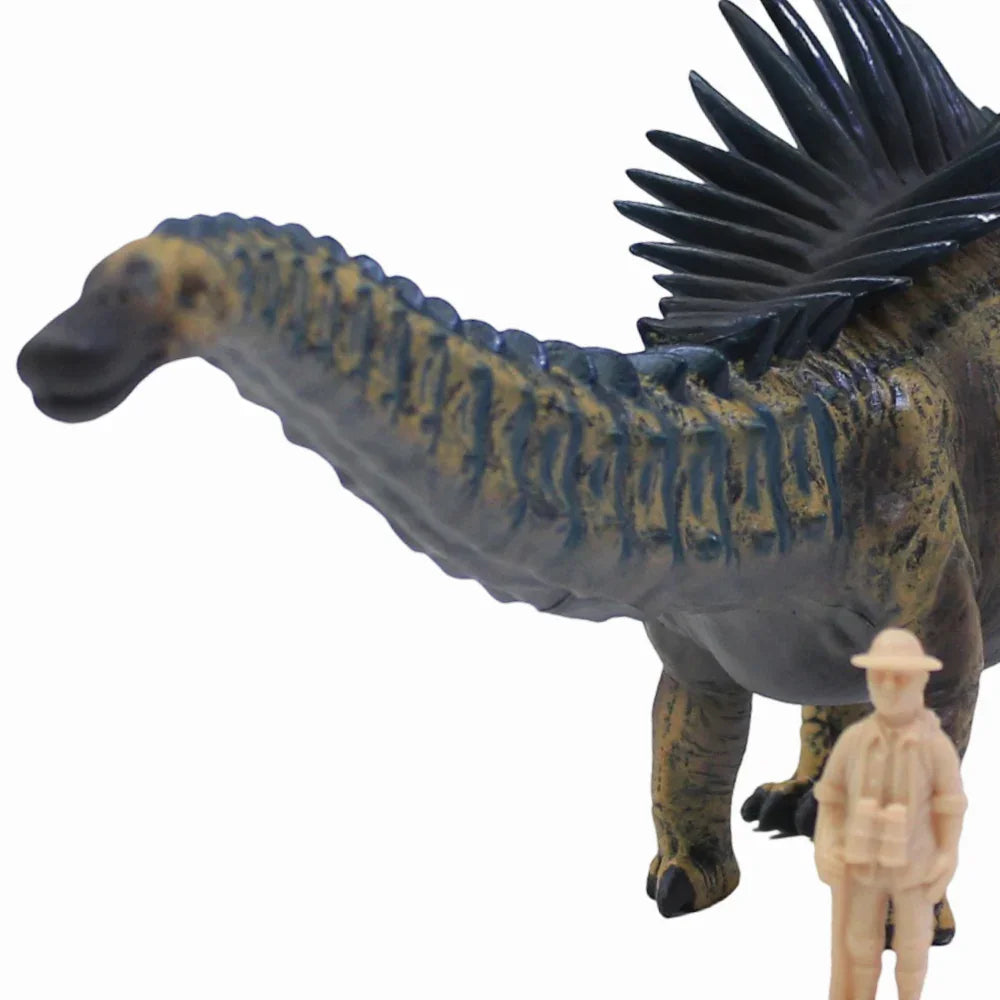 CollectA Agustinia Deluxe Dinosaur 1:40 Figurine