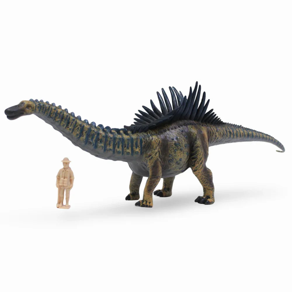 CollectA Agustinia Deluxe Dinosaur 1:40 Figurine