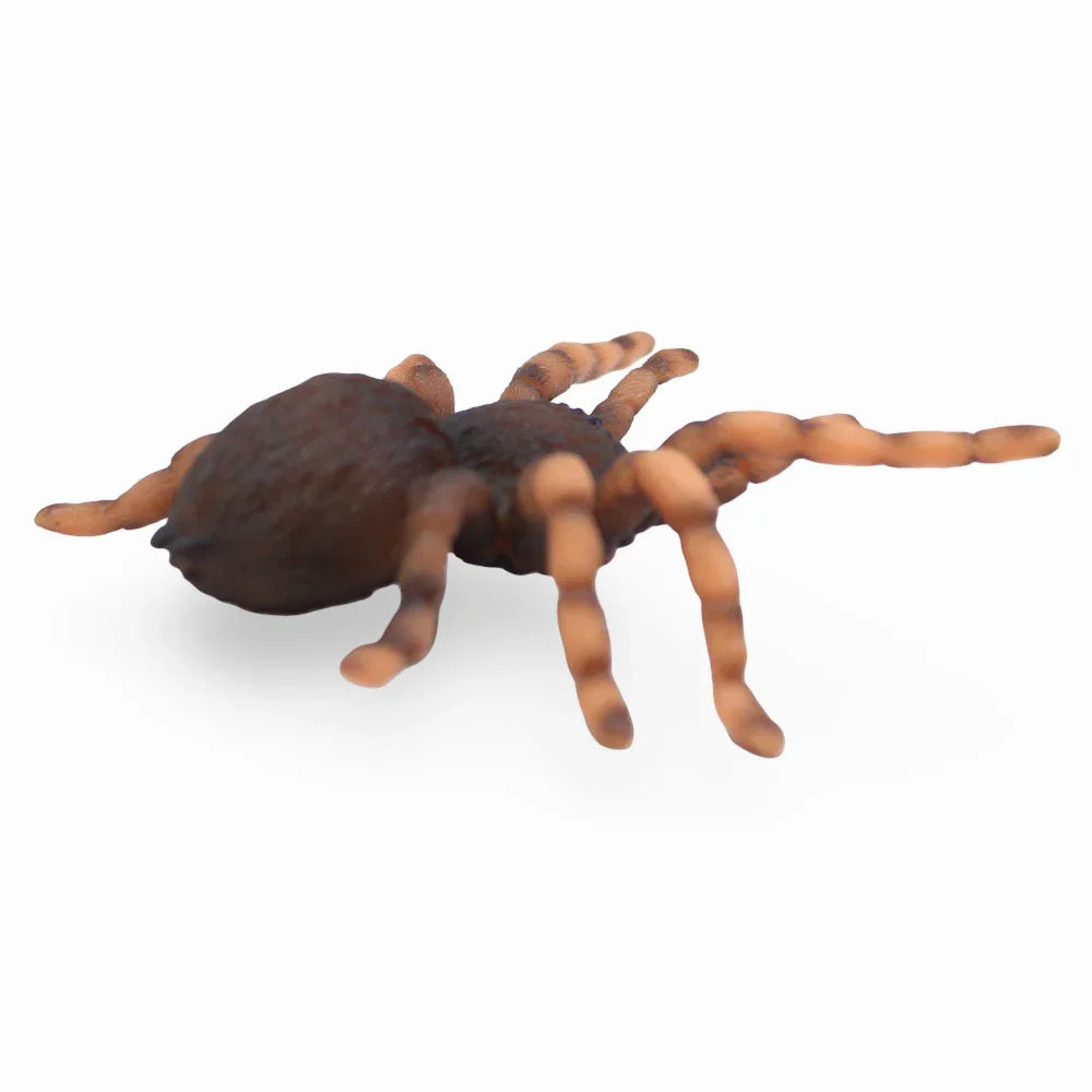CollectA Mexican Redknee Tarantula Figurine