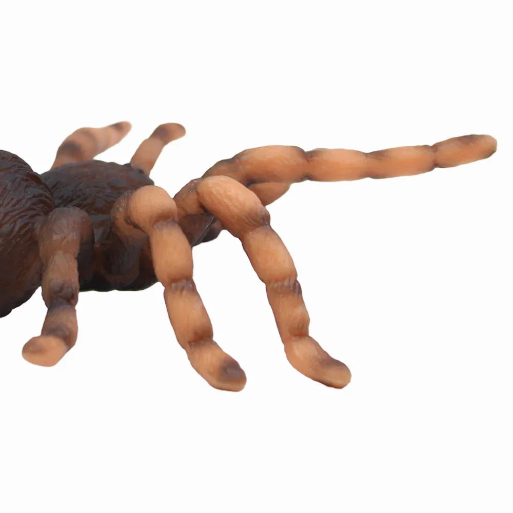 CollectA Mexican Redknee Tarantula Figurine