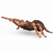 CollectA Mexican Redknee Tarantula Figurine