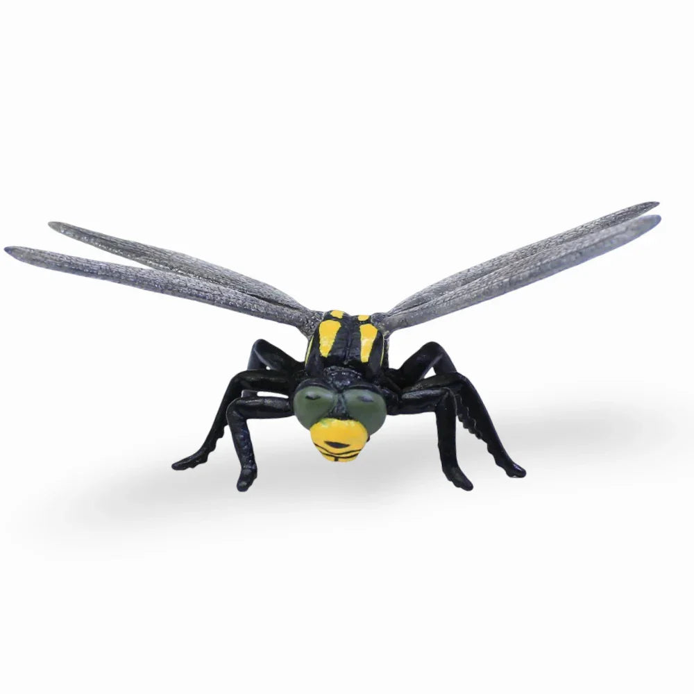 CollectA Golden-Ringed Dragonfly Figurine