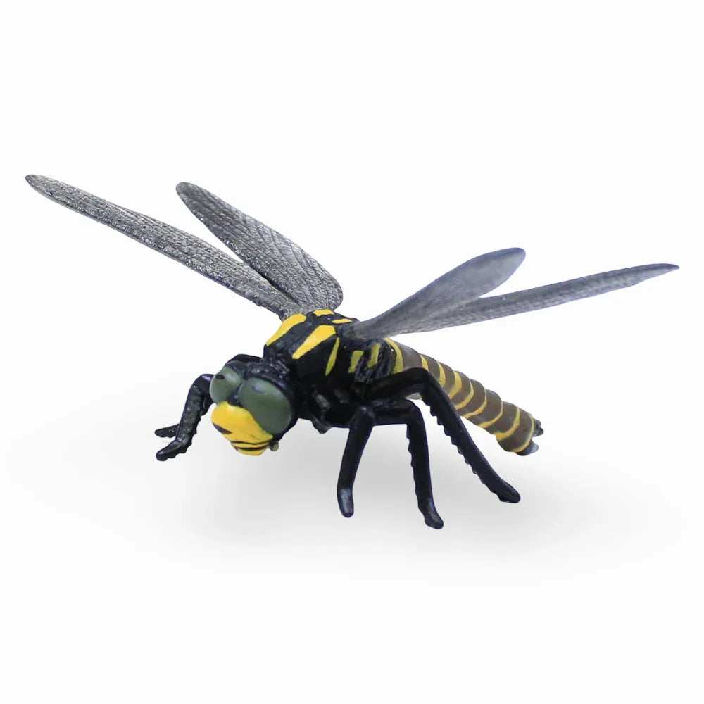 CollectA Golden-Ringed Dragonfly Figurine - Toys