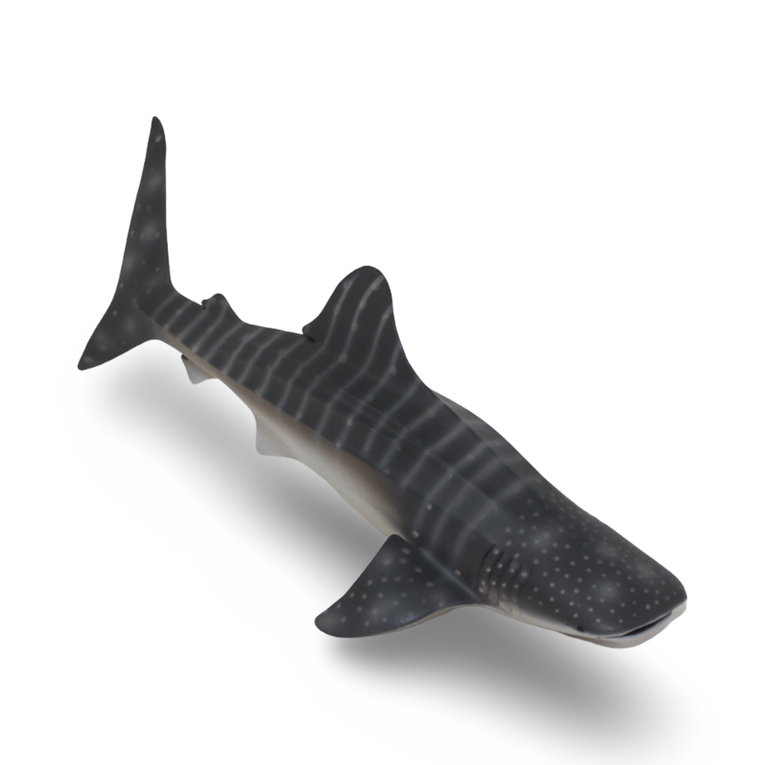 CollectA Whale Shark Figurine - Toys