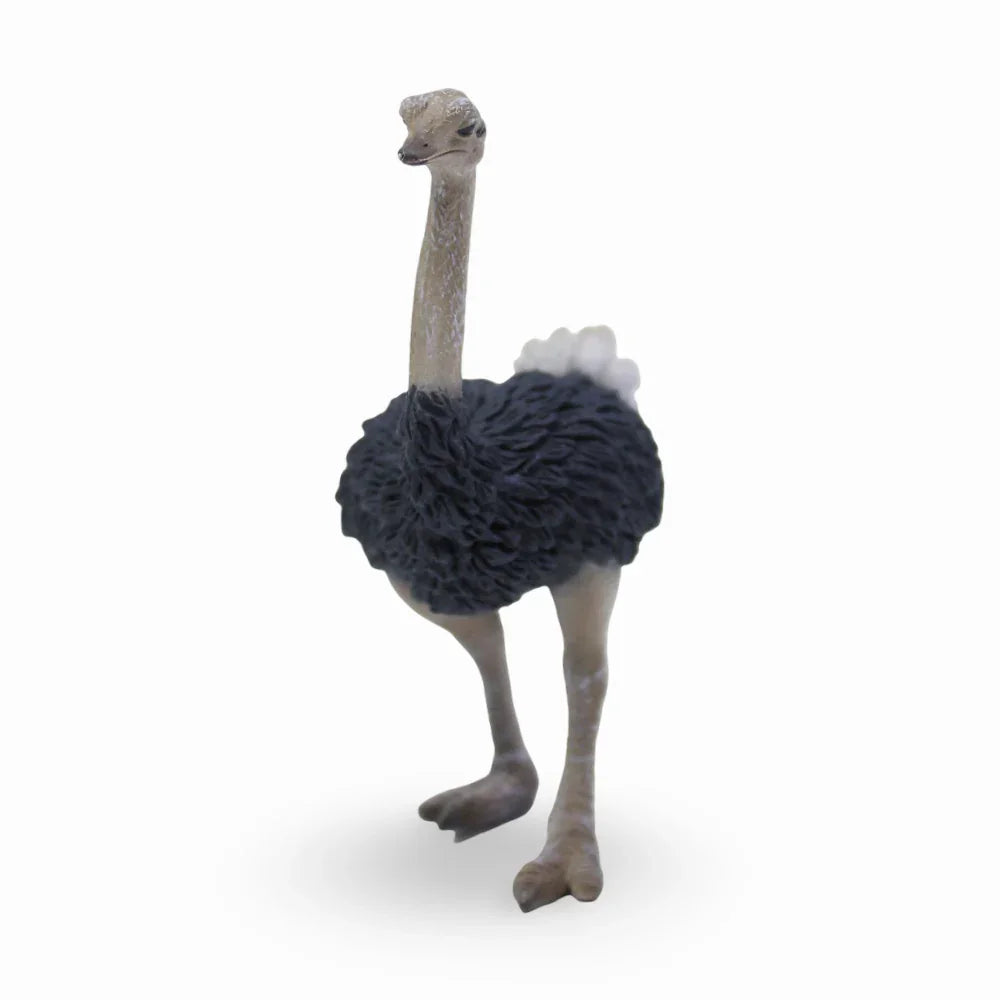CollectA Ostrich Figurine