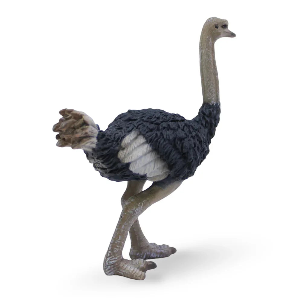CollectA Ostrich Figurine