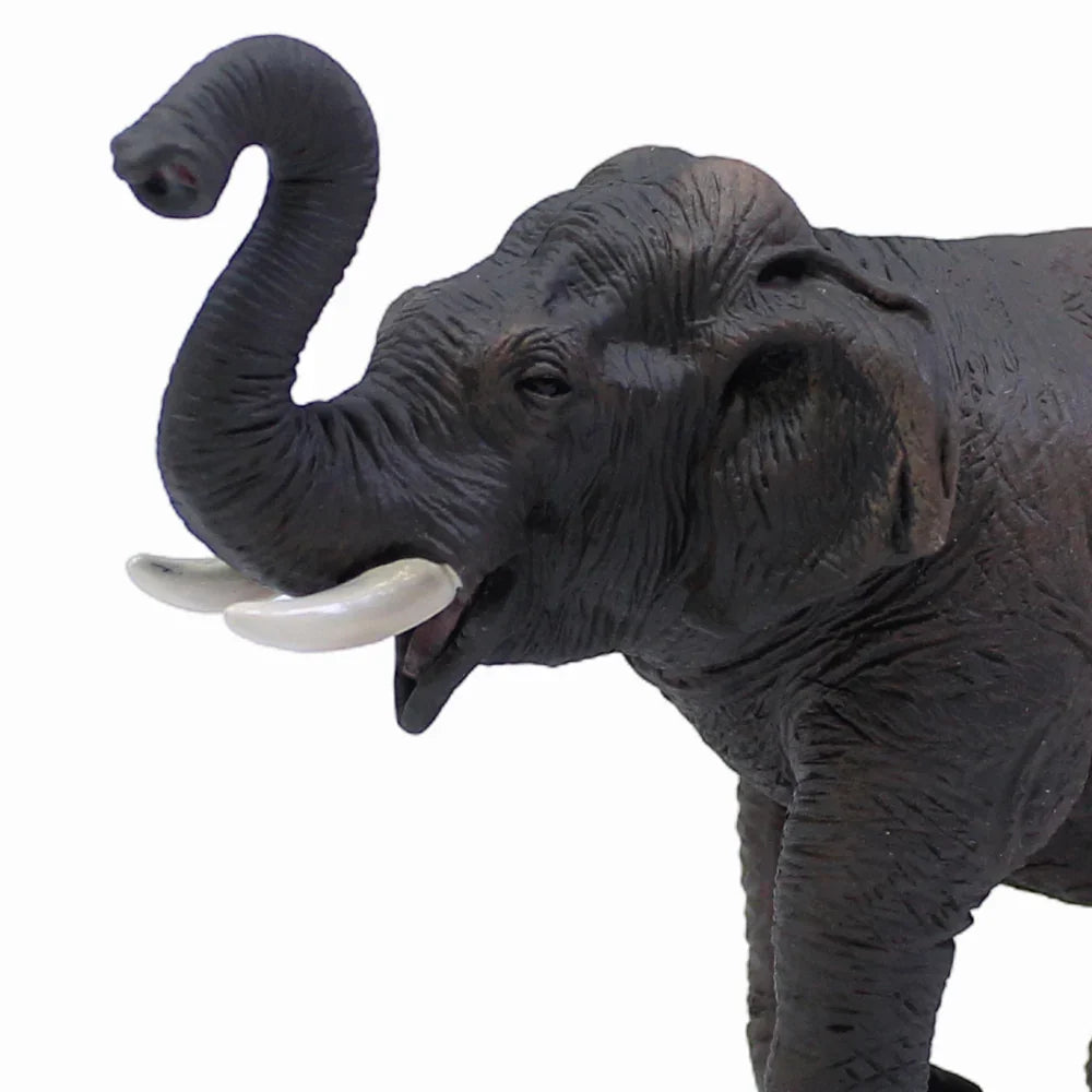 CollectA Asian Elephant Figurine