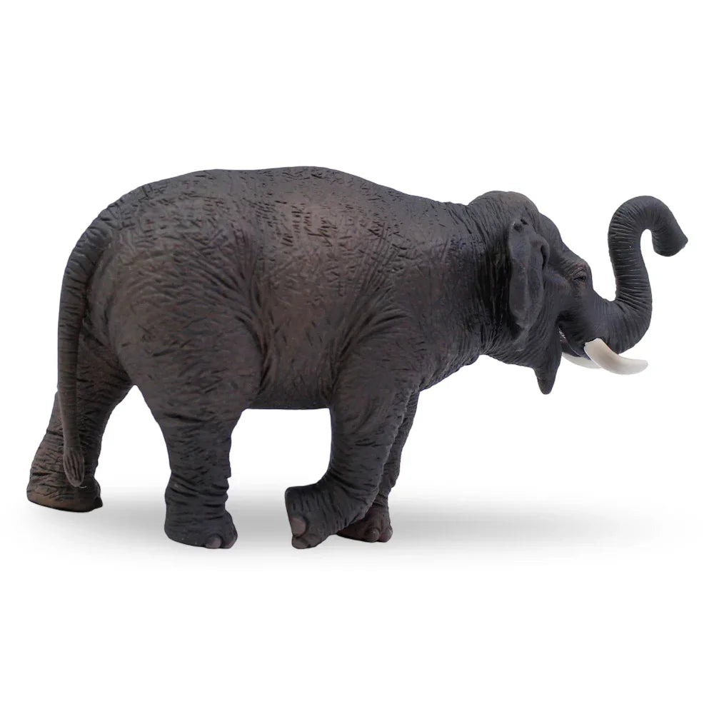 CollectA Asian Elephant Figurine