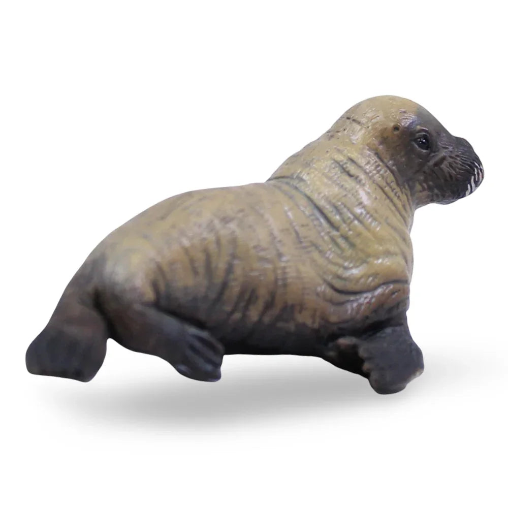 CollectA Walrus Calf Figurine