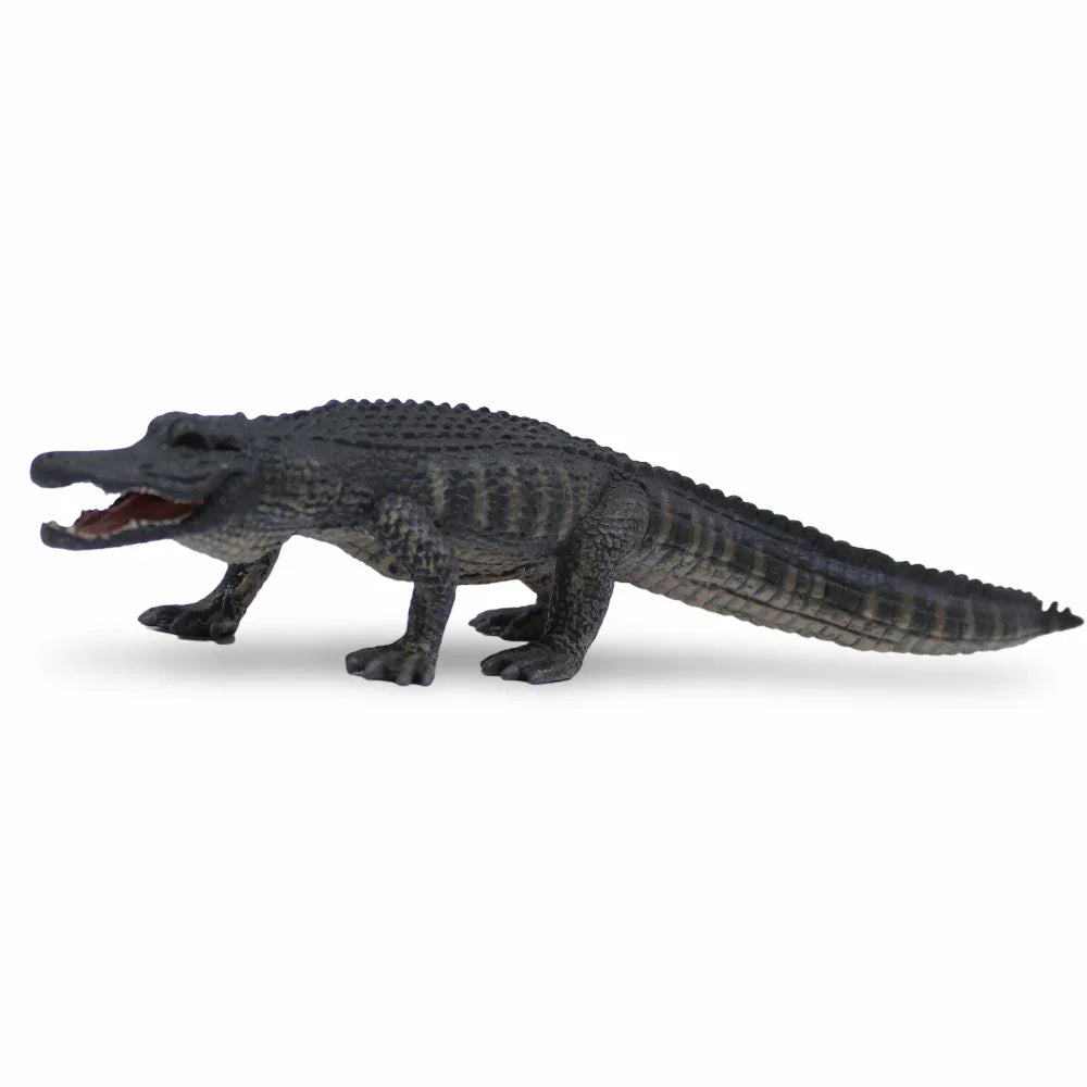 CollectA American Alligator Figurine - Toys