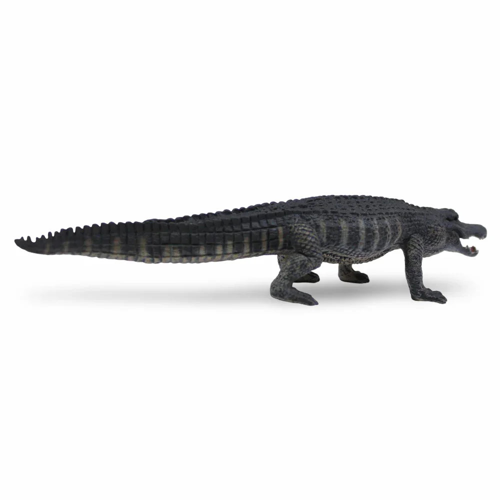 CollectA American Alligator Figurine