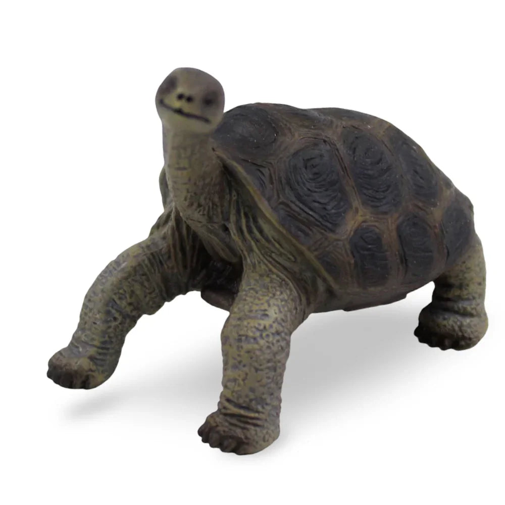 CollectA Pinta Island Tortosie Figurine
