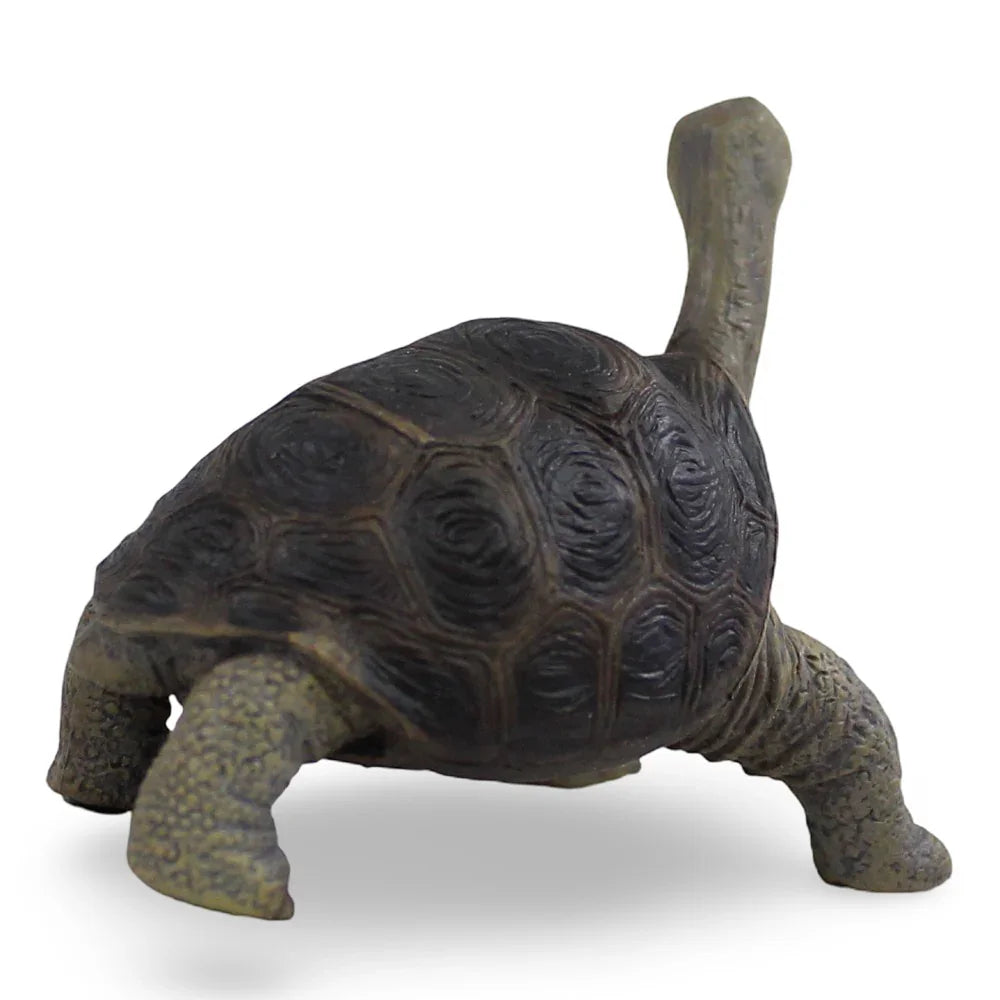 CollectA Pinta Island Tortosie Figurine