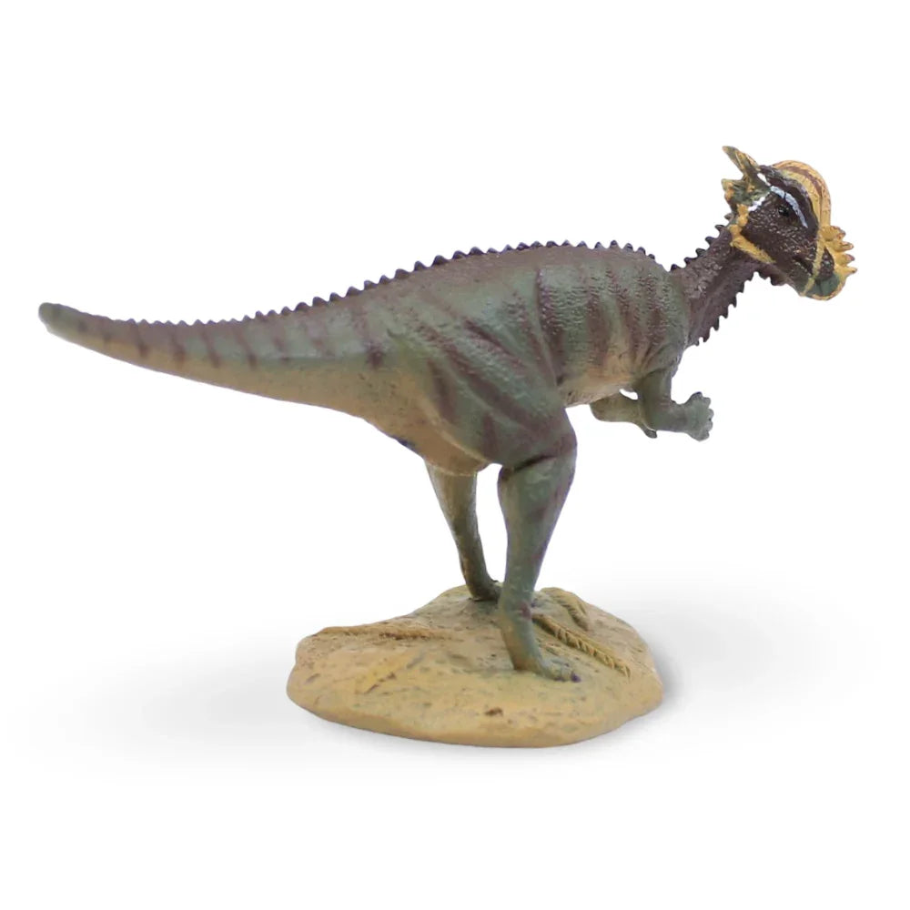 CollectA Pachycephalosaurus Figurine
